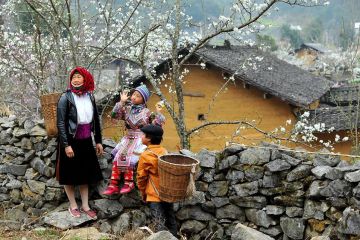 Amazing Ha Giang 4 Days