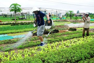 Biking And Cooking In Song Phuong Village Full Day