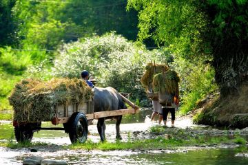 Pu Luong - The Wilderness 4 Days