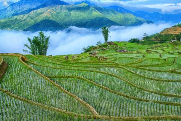 Northern Vietnam Trails 14 Days 