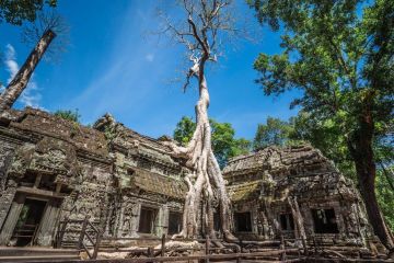 Authenticity Of Angkor Discover 5 Days