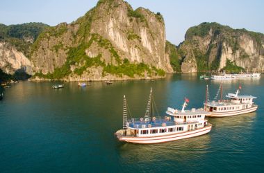 Halong Sen Cruise Day Trip