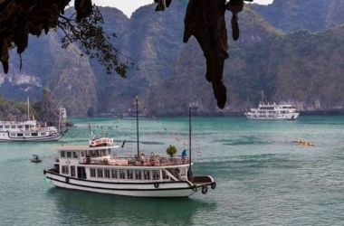 Wego Halong Cruise Full Day