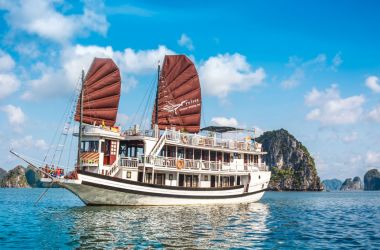 Swan Cruise Halong