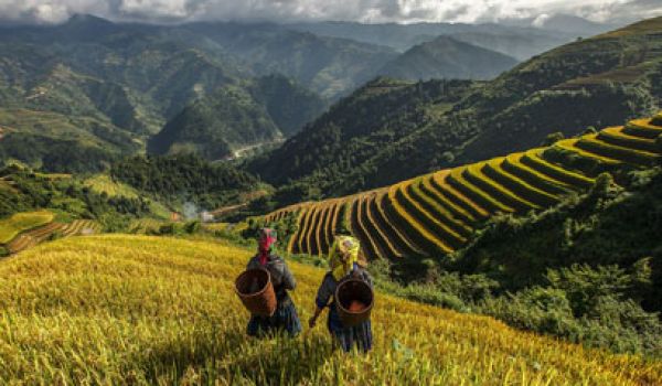 Beautiful Vietnam