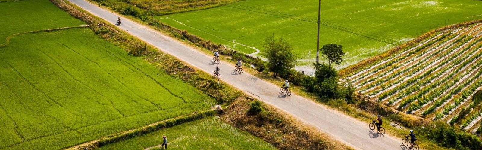 Cycling In Countryside