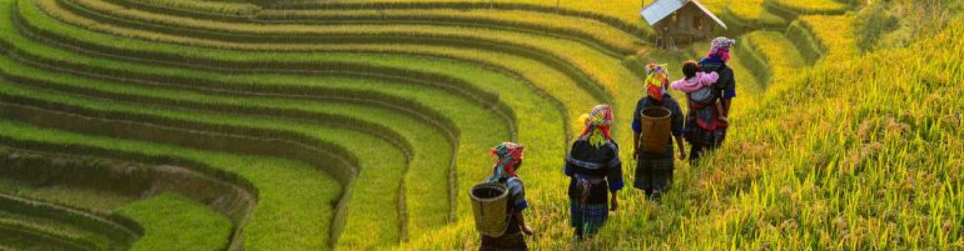 Destinations in Mu Cang Chai