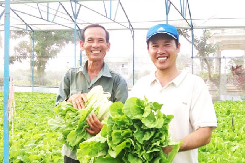 Safe Vegetables In Tien Le Commune