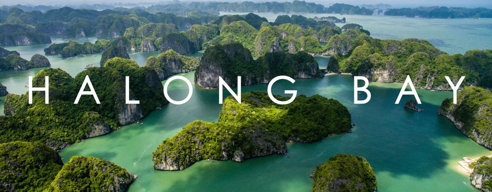 Halong Bay Cruises