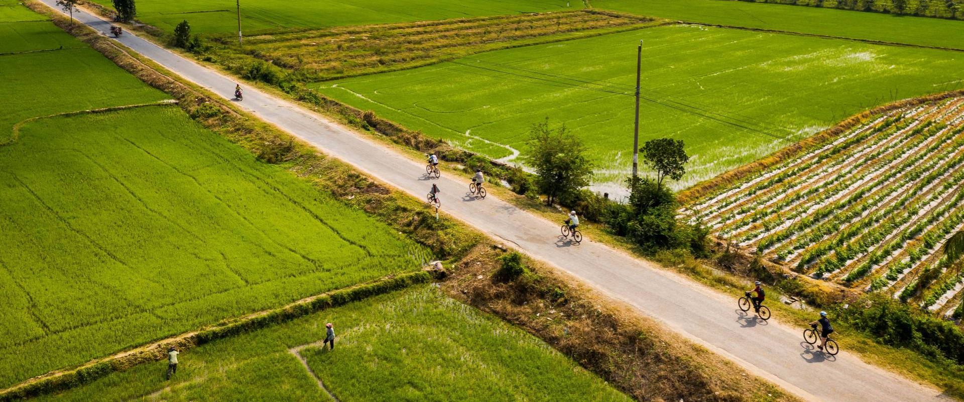 Cycling In Countryside